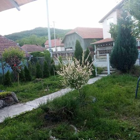 Apartmani Lina Ribarska Banja Εξωτερικό φωτογραφία